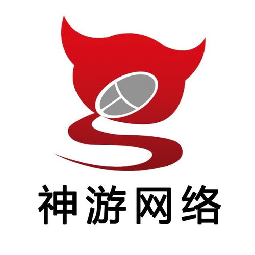 温州神游网络科技