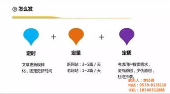网络公司 软件开发 菏泽市网络公司 临沂新网网络