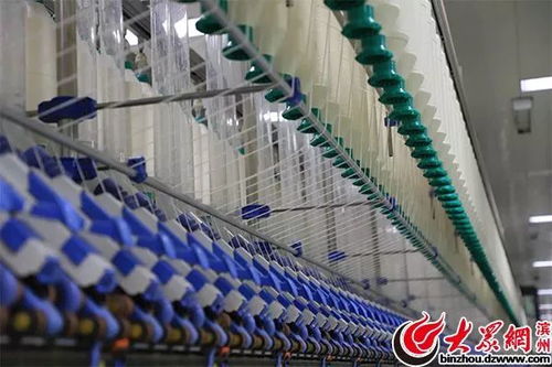 万锭用工仅10人 魏桥纺织智能化程度世界领先 惊艳全国网络媒体滨州行采访团